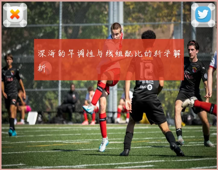 深海钓竿调性与线组配比的科学解析