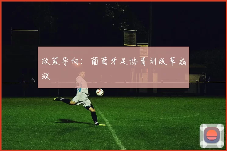 政策导向：葡萄牙足协青训改革成效