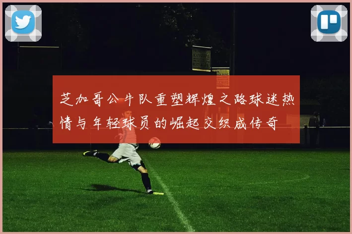 芝加哥公牛队重塑辉煌之路球迷热情与年轻球员的崛起交织成传奇