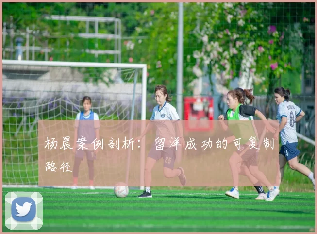 杨晨案例剖析：留洋成功的可复制路径