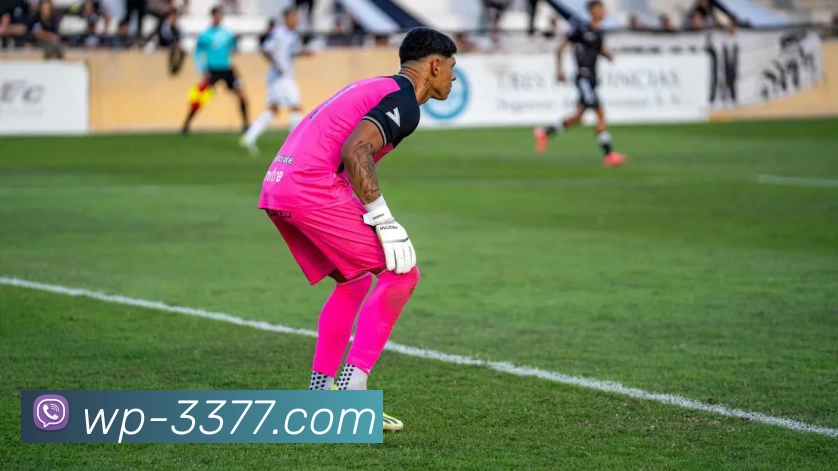 3377体育发展历程